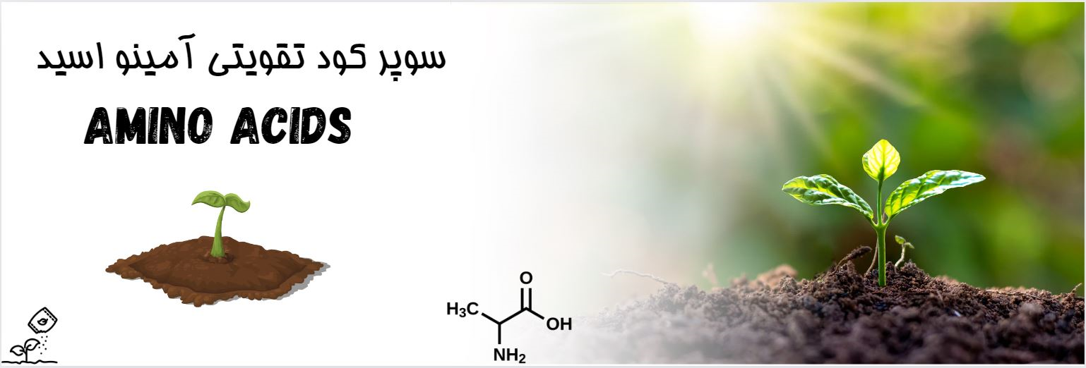 خرید سوپر کود تقویتی آمینواسید
