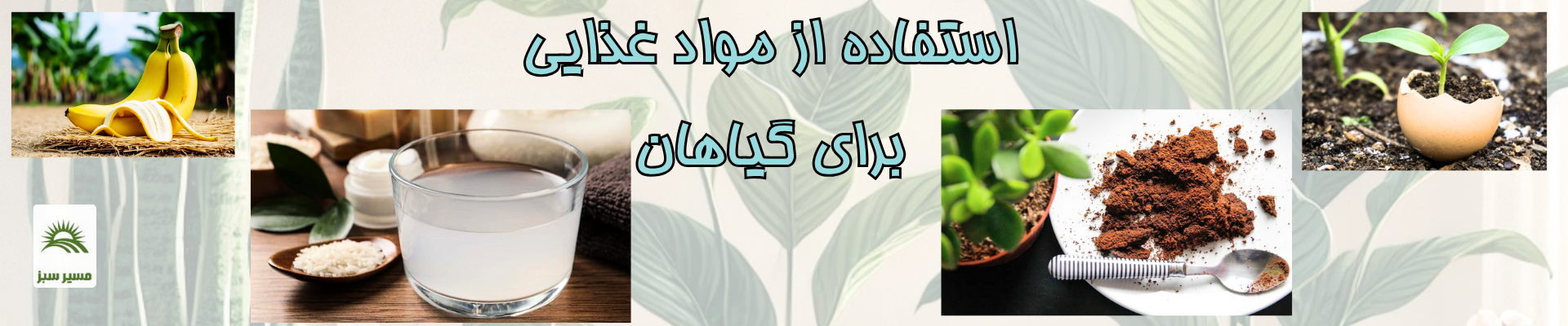 تاثیر مواد غذایی روی گیاهان