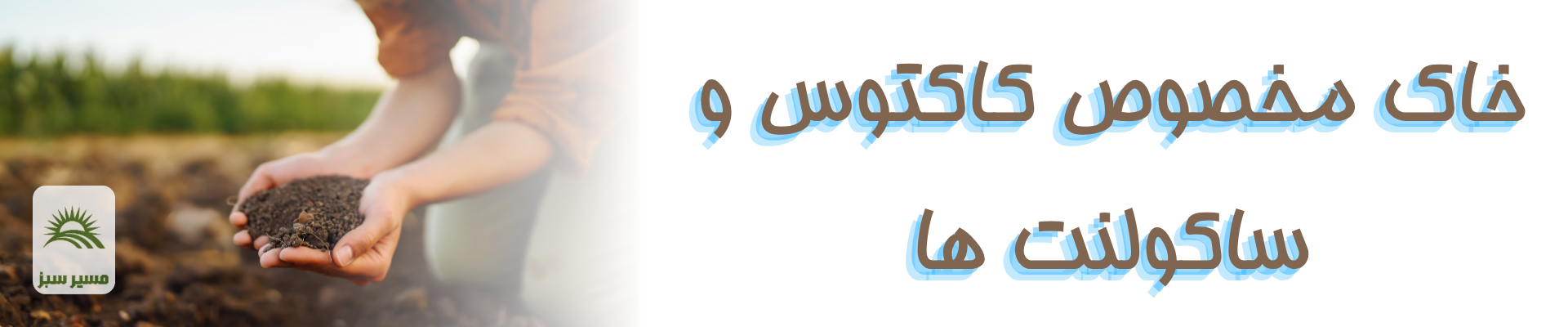 خاک مخصوص کاکتوس