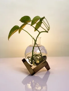 گلدان مینیمال شیشه ای مدل حبابی با پایه